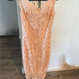 Elegant Lace Peach Dress